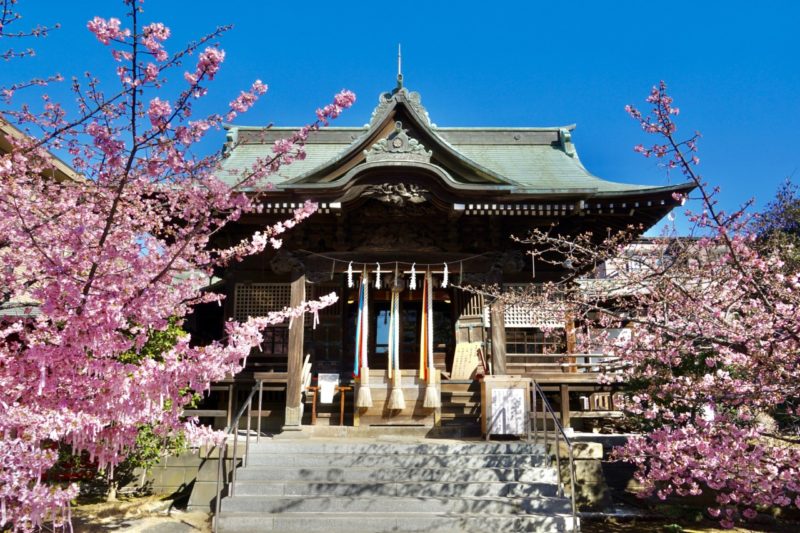 桜神宮 / 東京都世田谷区 | 御朱印・神社メモ