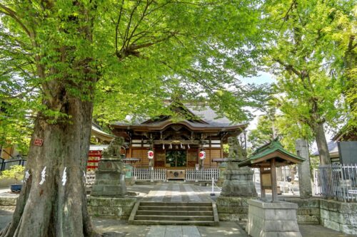 瀧野川八幡神社(滝野川八幡神社) / 東京都北区