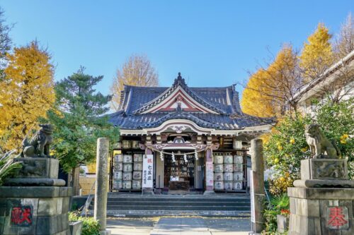 若宮八幡宮・金山神社 / 神奈川県川崎市