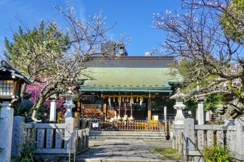 新宿下落合氷川神社 / 東京都新宿区