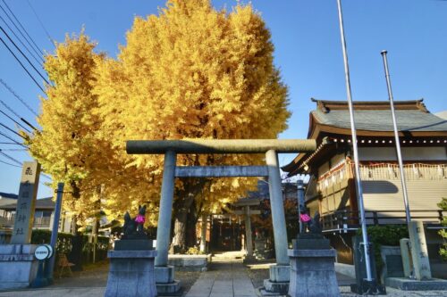 飛木稲荷神社 / 東京都墨田区