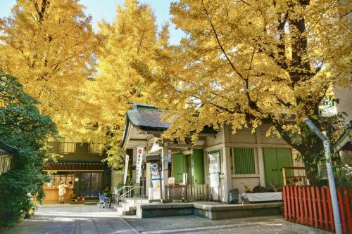 銀杏岡八幡神社 / 東京都台東区